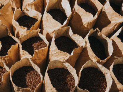 Whole Bean - Bulk